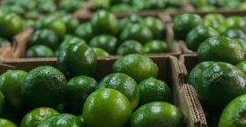 Ciao e Benvenuto. Offro lime colombiani freschi calibro 48