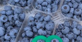 We specialize in producing and supplying fresh, top-grade blueberries