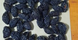 Abbiamo prugne Stanley in stock