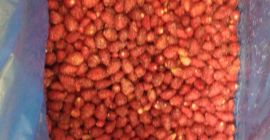I will sell extra-class frozen wild strawberries from my