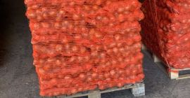 I am selling onions produced in Serbia in 2024,