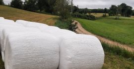 I will sell silage from the first cut of
