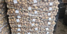 Hello, I have potatoes in a big bag and