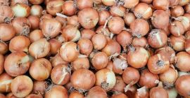 We sell fresh onions