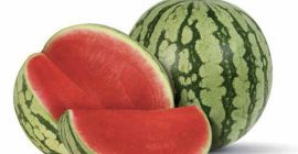 Wassermelonen im Großhandel werden direkt vom Feld verkauft. 100