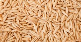 I am selling Maxi variety oats. Harvest 2024. Quantity