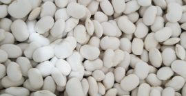Buna ziua, avem de vanzare fasole pitica marime 90-120/100g.