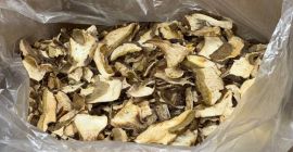 We offer forest mushrooms (boletus, chanterelles). Dry or frozen.