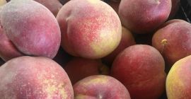 We offer peaches - more varieties from Macedonian and
