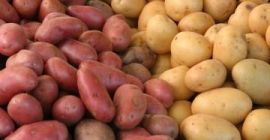 На продају јестиви кромпир: Белароса, Ред Фантаси, Цоломба, Отолиа,