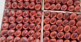 Сува природна кајсија Паковање кутија 5 кг / 1