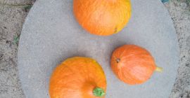 Hokaido pumpkins for sale. Price 3.50 per kilogram. Please