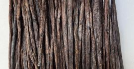 We sell fresh and A quality of vanilla pods