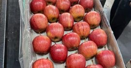 We are a company that exports apples from Poland,
