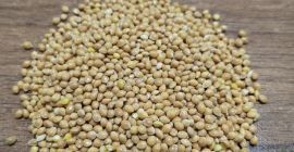 We offer yellow millet. The quality meets European standards.