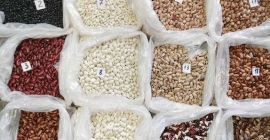 Beans Natur Product is a Ukrainian company specializing in