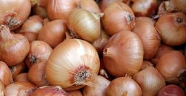 Продам лук в количестве до 40 тонн. Мешки по