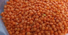 Здравейте на всички, продавам леща, имам всички необходими анализи,
