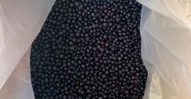 Ich verkaufe Bergheidelbeeren!, Qualität garantiert!