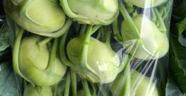 Kohlrabi für den Frischmarkt mit einem schönen Blatt
