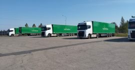 Kupię pszenicę spożywczą, luzem, zawartość białka min 12%.