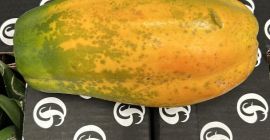 PAPAYA - BY AIR Origin: Colombia Quality: Premium Caliber: