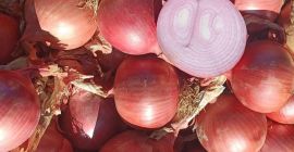 ЉУБИЧАСТИ ЛУК Порекло: Мароко Квалитет: ЦАТ И Калибар: +40