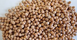 We have chickpeas for sale, please contact me [phone]