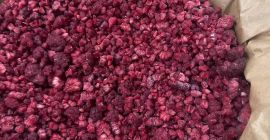 L&#39;azienda slovacca vende lamponi congelati gris (crumble) dai magazzini