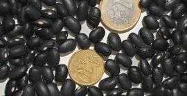Frigoles negro Reinheit: 99 %, Feuchtigkeit: 14 %, 480