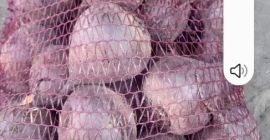 I will sell beetroot in truck quantities and smaller.