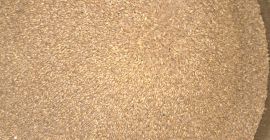 EINKORN , BIO ZERTIFIKAT