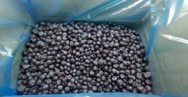 Ich verkaufe gefrorene Blaubeeren. Optisch sortierter Karton 10 kg,