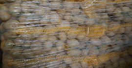 Magnolia 5+ edible potatoes, 10kg sewn bag
