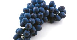 Высококачественный виноград «Молдова» — свежая продукция премиум-класса из холодного