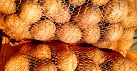 I will sell 3 varieties of edible potatoes -