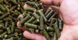 Granulált lucerna – Kiváló minőség, azonnal elérhető! Eladásra kínálunk