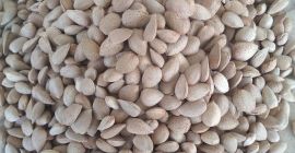The SAG Gardens company offers Spanish almonds of the