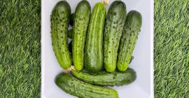 Уникальный огурец сорта Европейский Корнишон с очень сильным запахом,