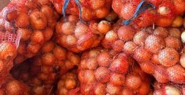 I will sell onions, caliber 5+, 20 kg nets