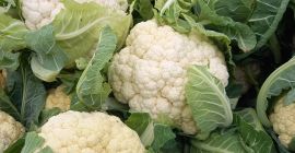 I will sell cauliflower quality I