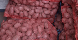 Selling +50mm potatoes. Melody, Laura, Gala. Big bags 0.30/kg