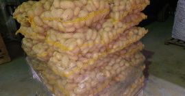 I will sell Queen Anna potatoes in caliber from