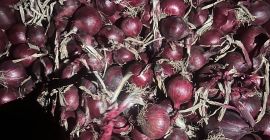 I have red onions for sale, suitable for packaging