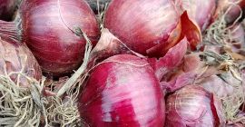 I will sell red onions