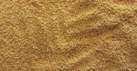 We sell premium grade millet groats, packaged in 25