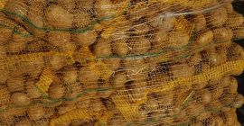 Продам картофель желтый Калибр 5+. Упаковка ББ, шитый мешочек.