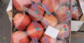 Продавам червена ябълка 540кг. На 1.20лв/кг на едро.
