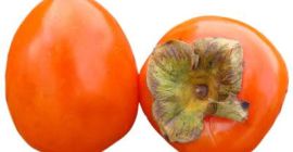  100% natural persimmons produced in Azerbaijan! We can