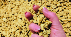 Soybean meal and oil